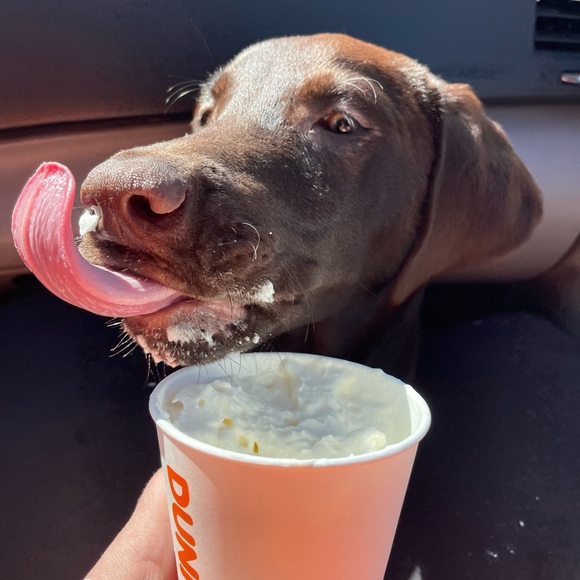 Meet your Posher, Tracie - Picture 3 of 9